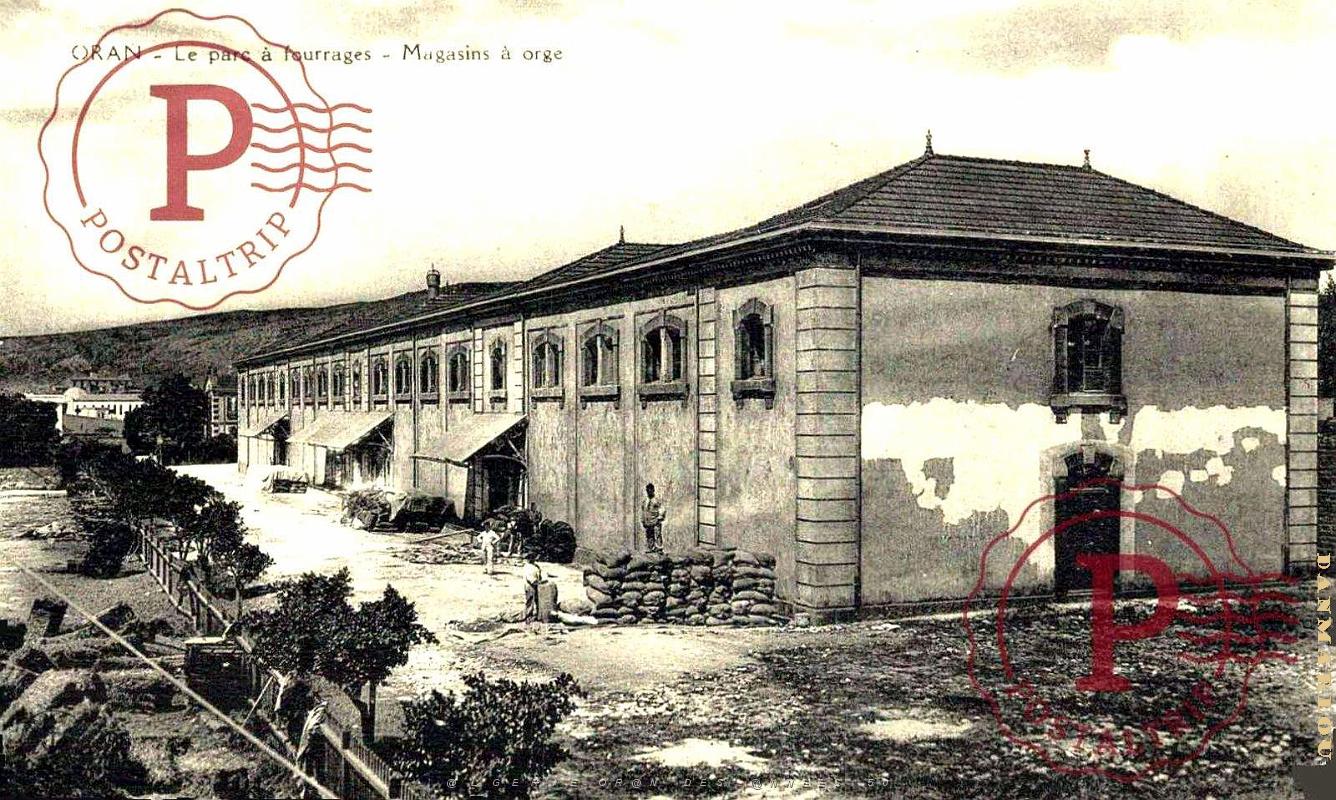 Oran - Avenue General Detrie - Parc a Fourrages - Magasin Orge.jpg